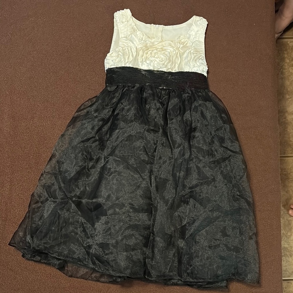 Cream and Black Fit and Flare Dress for Wedding Guest